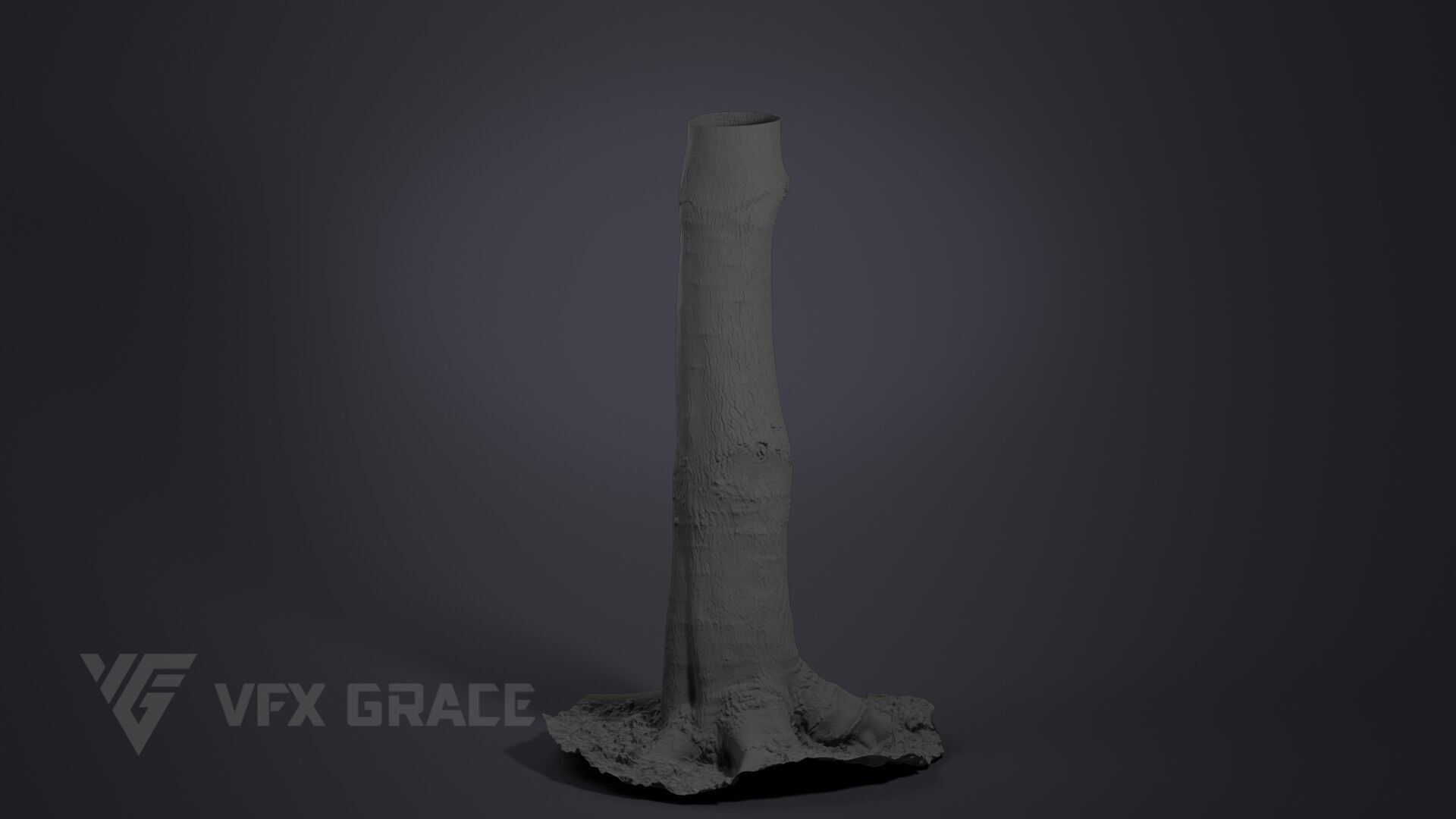 Tallow Tree Trunk 002 3D model_5