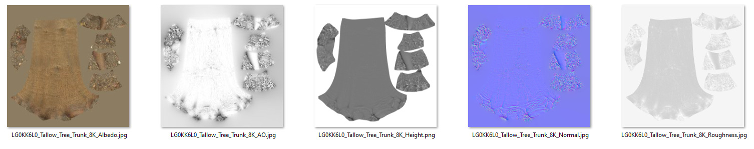 Tallow Tree Trunk 002 3D model_9