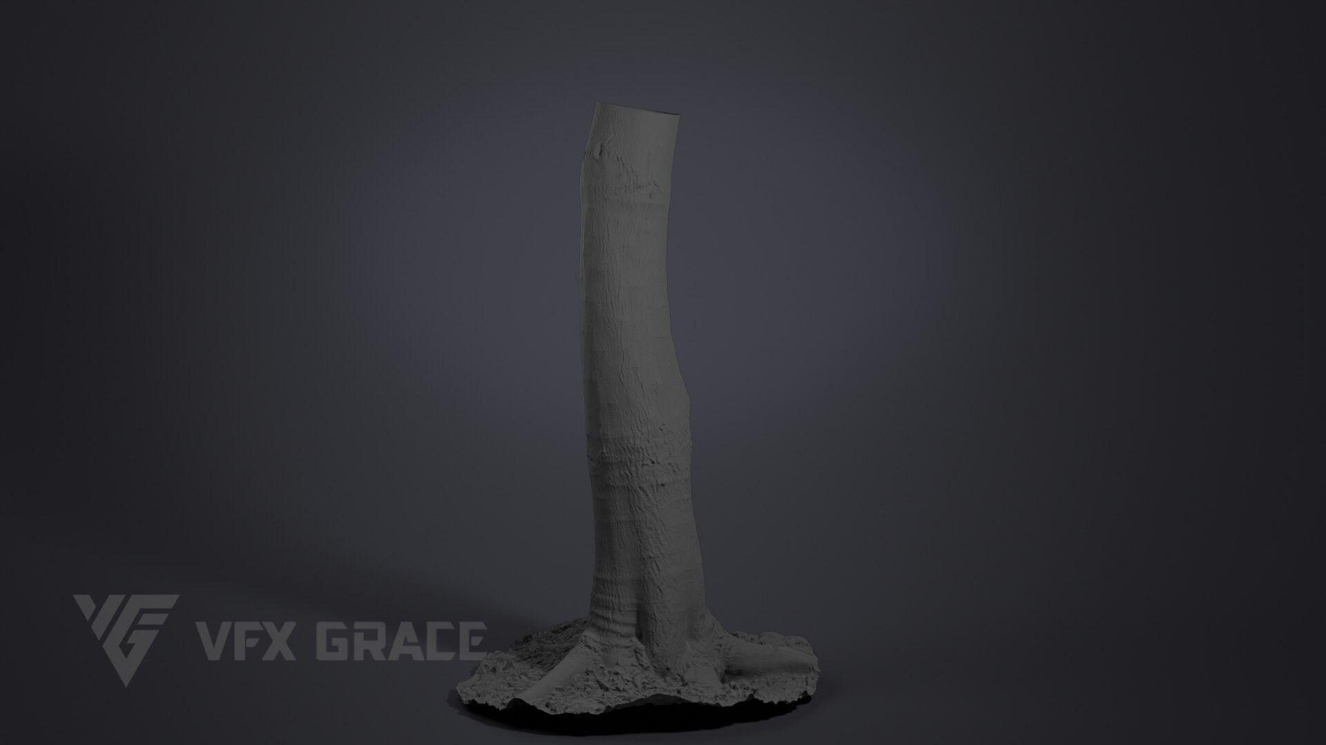 Tallow Tree Trunk 002 3D model_6