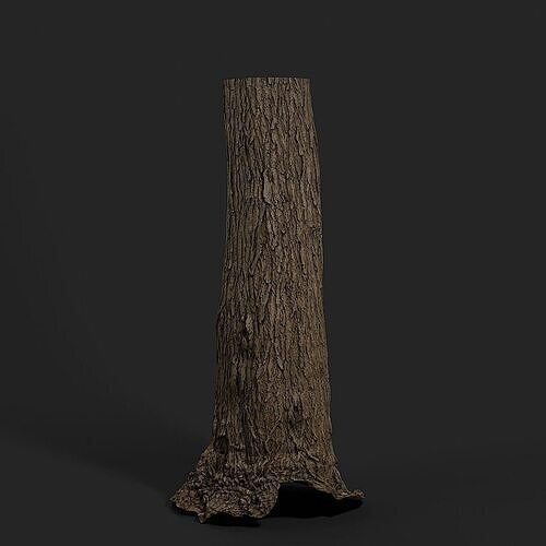 Tallow Tree Trunk 001 3D model