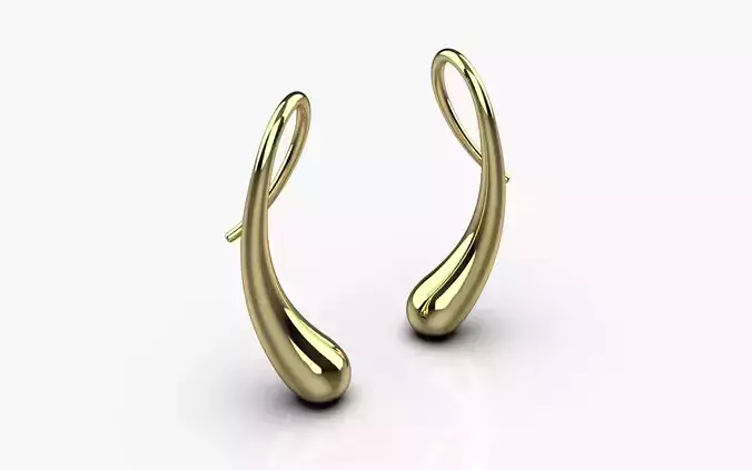Teardrop Earrings