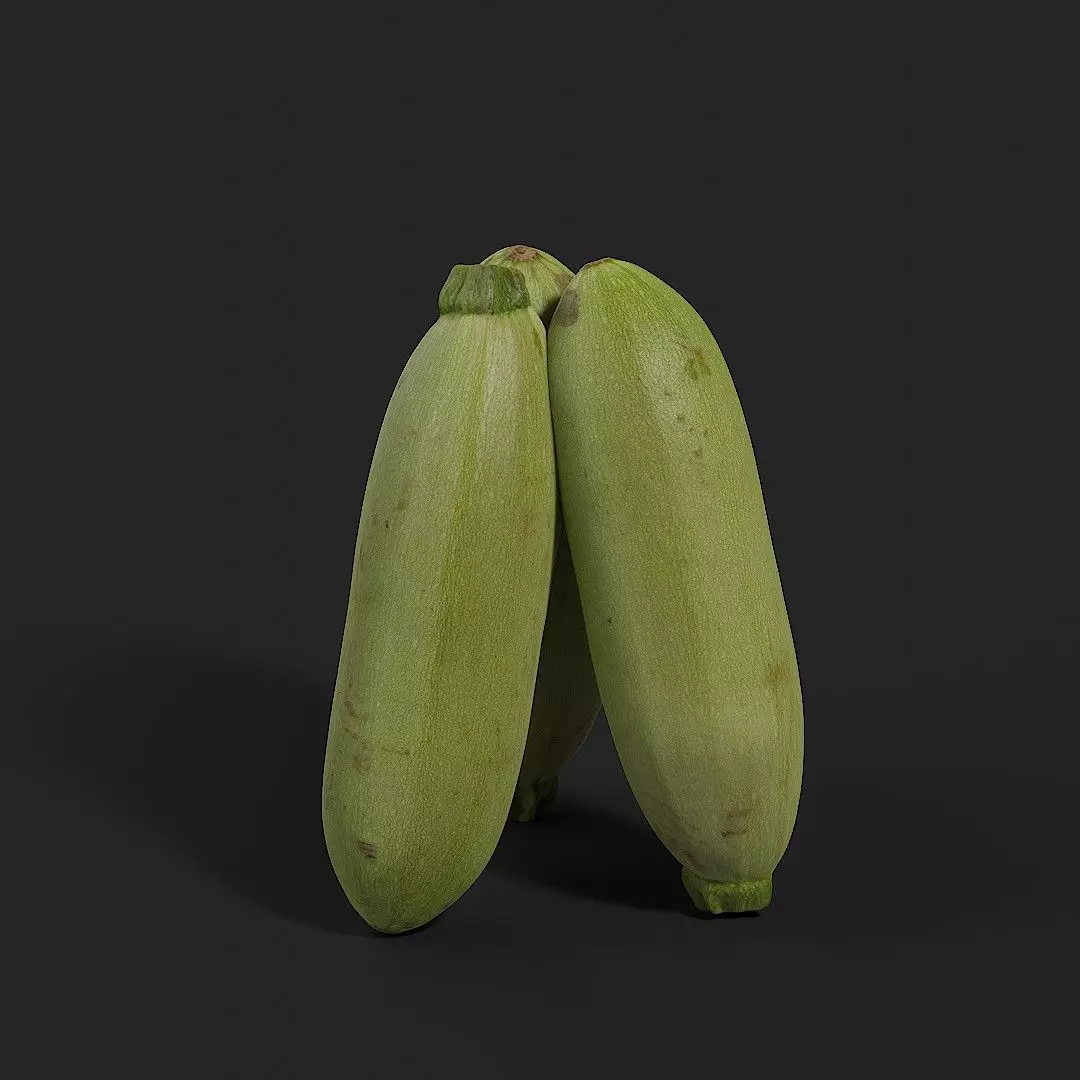 Squash 001 3D model