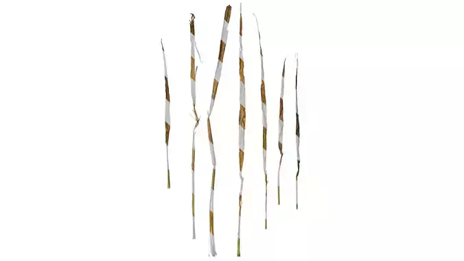 Anydrafts Polypogon fugax Leaf 04