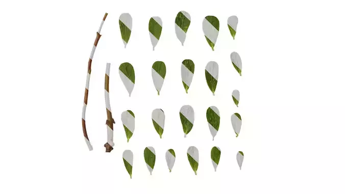 Anydrafts Portulaca oleracea Leaf 02