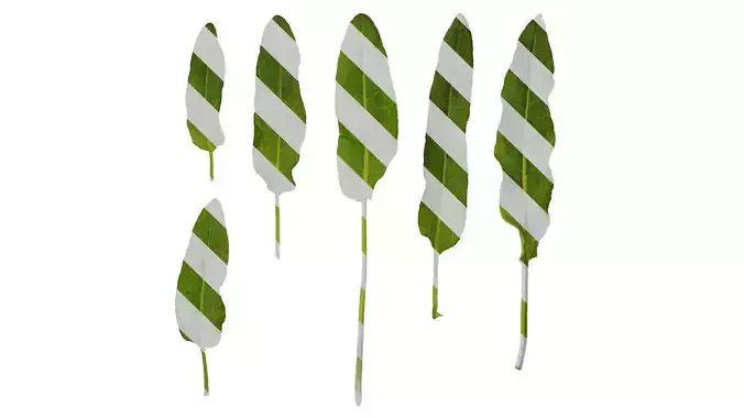 Anydrafts Rumex crispus Leaf 04