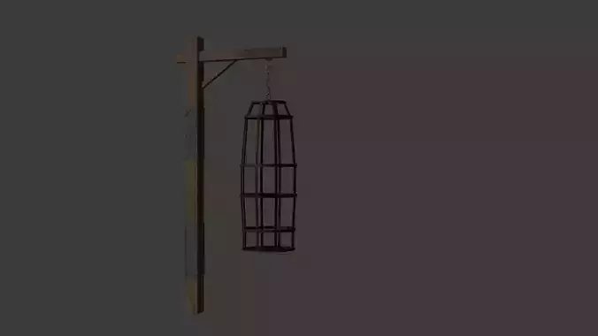 Hanging cage 
