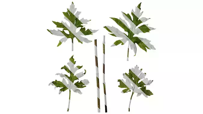 Anydrafts Sinacalia tangutica Leaf 02