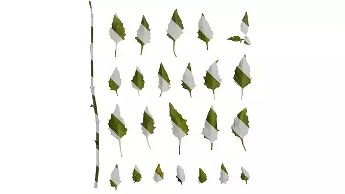 Anydrafts Solanum americanum Leaf 02