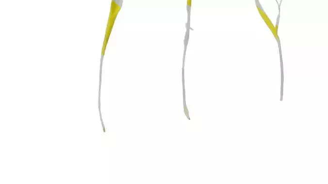 Anydrafts Sonchus asper Flower 01