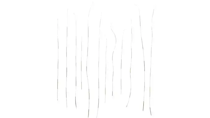 Anydrafts Stipa lessingiana Leaf 01