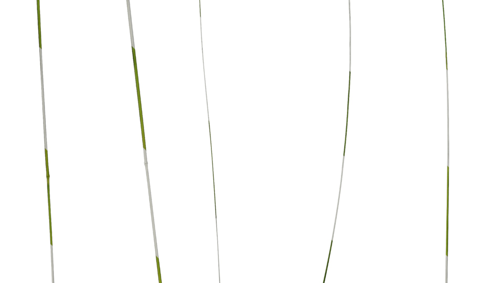 Anydrafts Stipa lessingiana Leaf 02 Texture_5