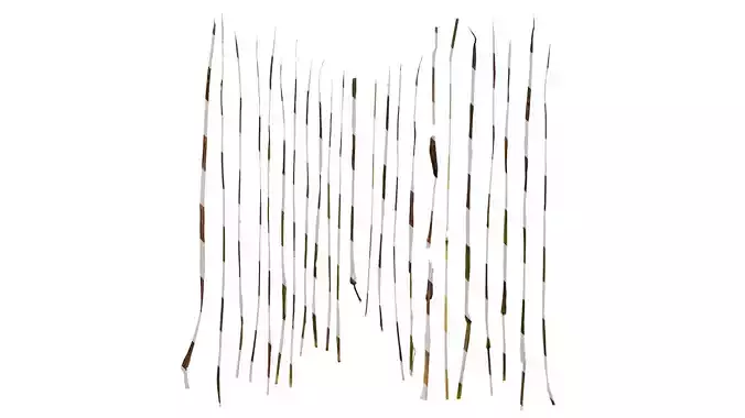 Anydrafts Themeda triandra Leaf 01