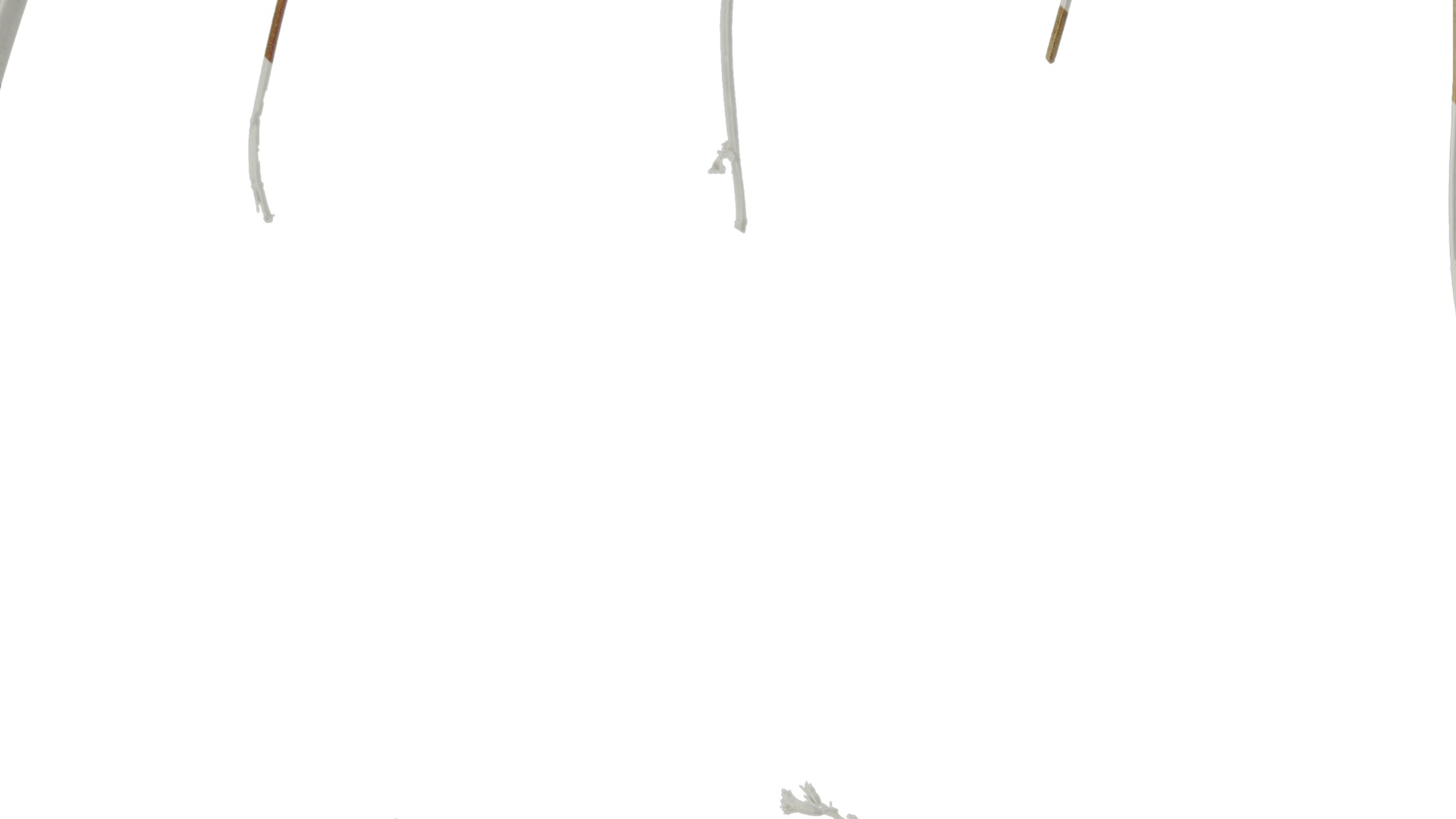 Anydrafts Agastache rugosa Atlas 10 Texture_3