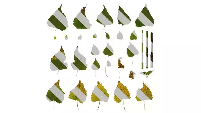 Anydrafts Agastache rugosa Leaf 02