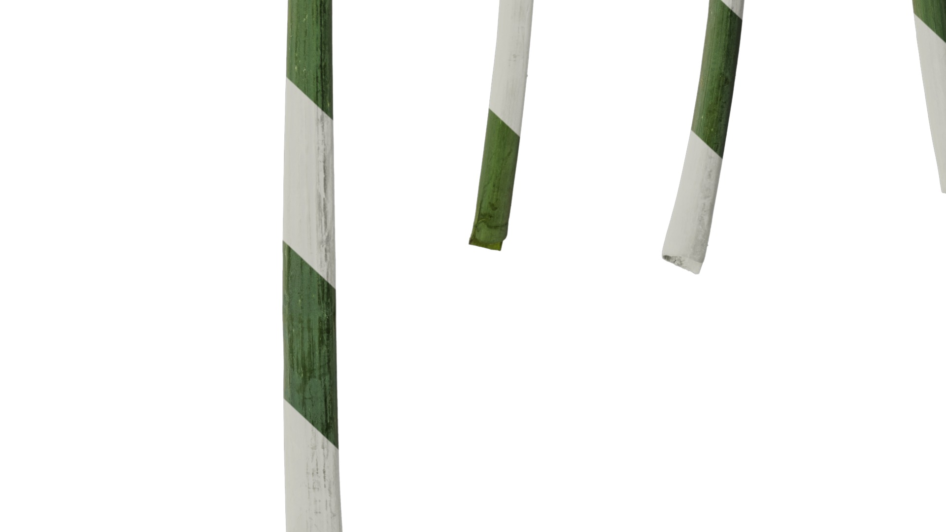 Anydrafts Allium fistulosum Atlas 01 Texture_6