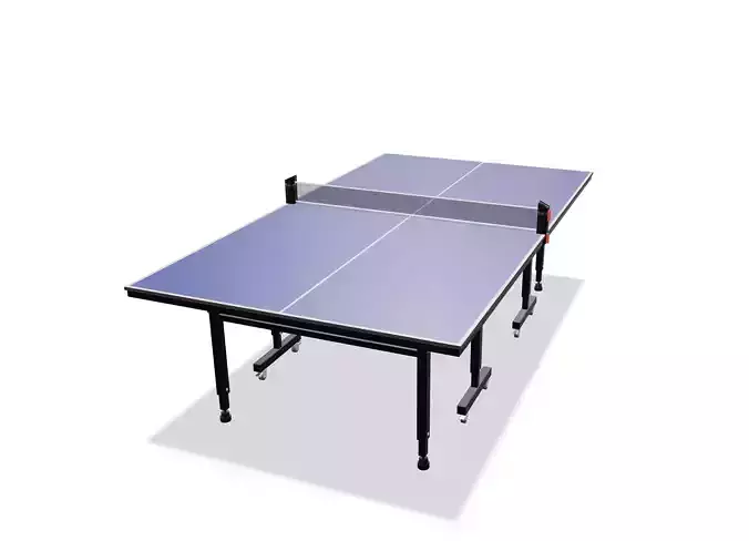 Ping Pong Table 