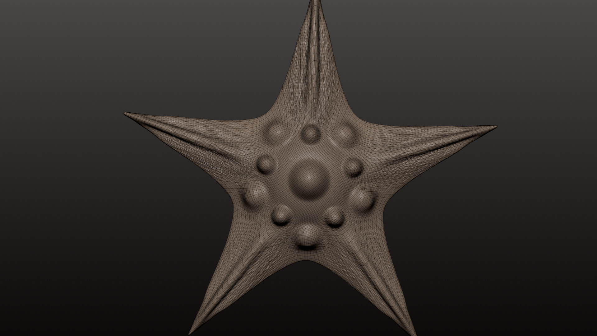 Star fish 01 Free 3D print model_2