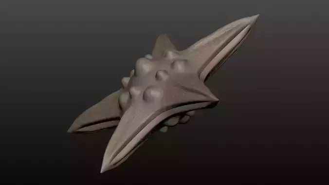 Star fish 01