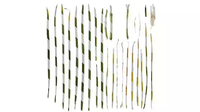 Anydrafts Allium tuberosum Leaf 02