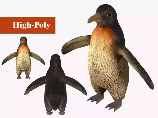 penguin rig high-poly textured 3D model