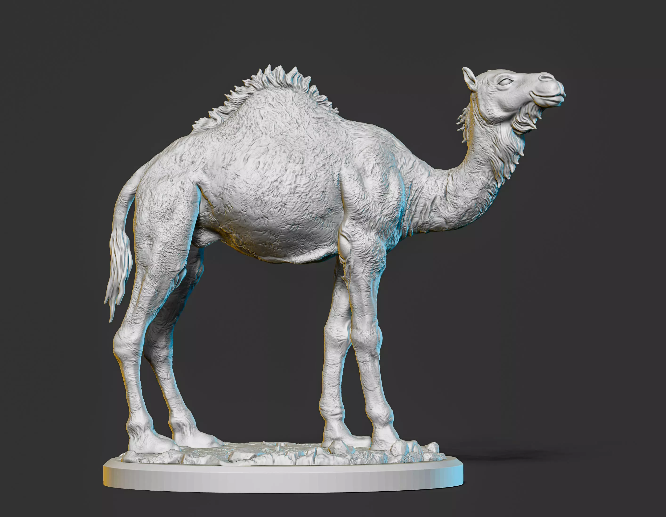 Camel 3D print model