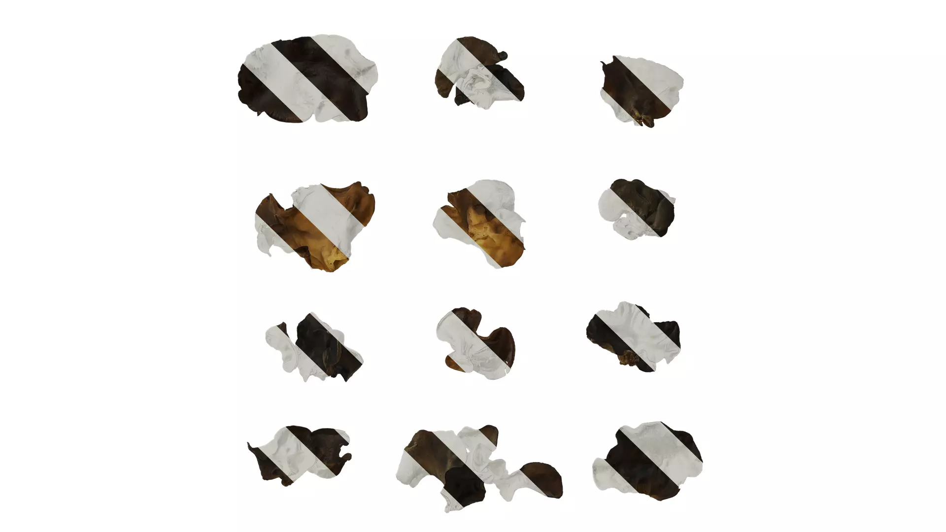 Anydrafts Auricularia auricula Atlas 01 Texture