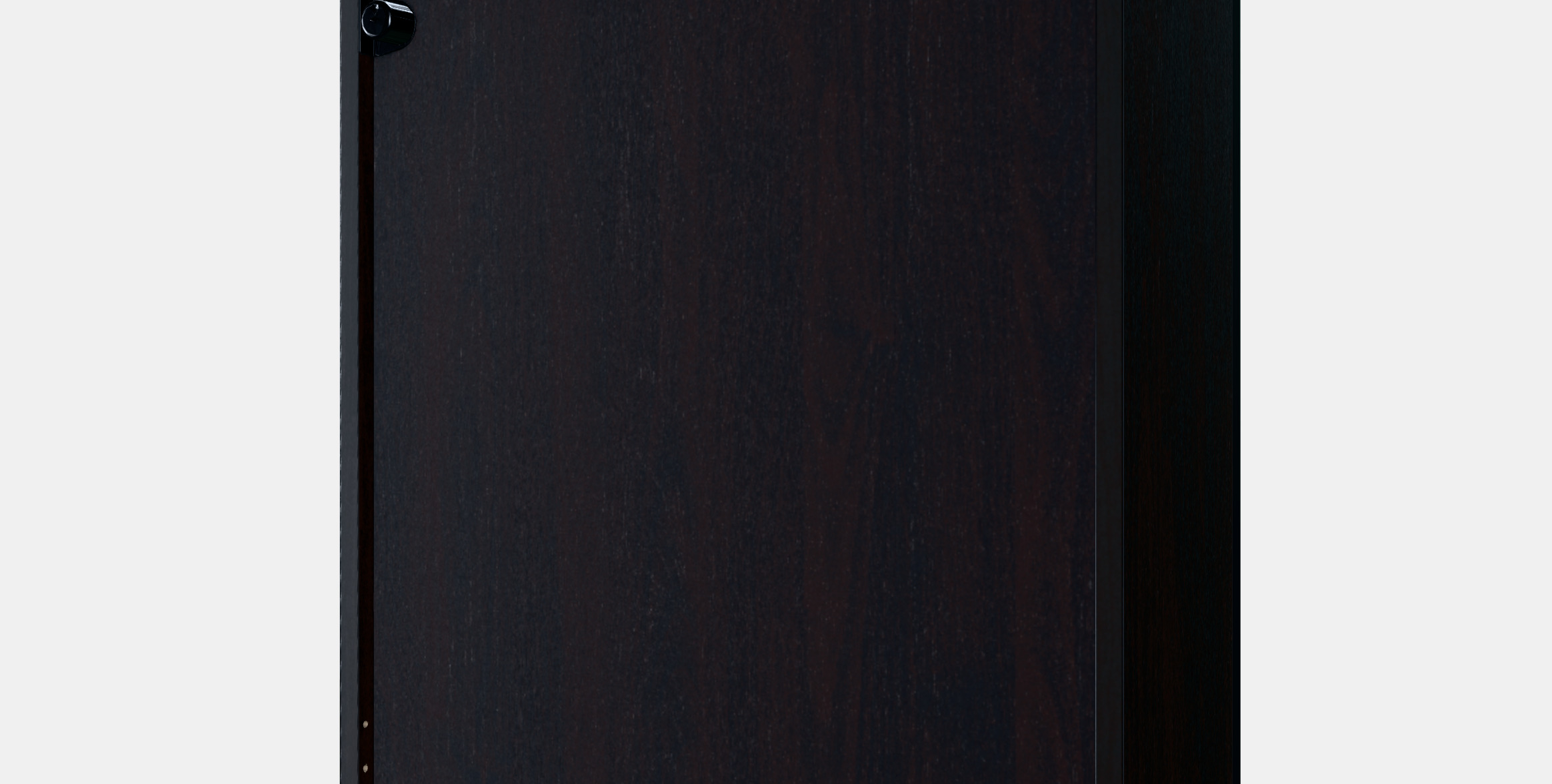 BESTA Shelf unit with glass door 18 3D model_9