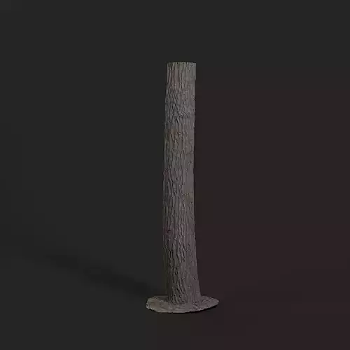 Italian Poplar Tree Trunk 3D model