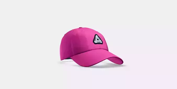 PALACE GARMENT DYED TRI-FERG PATCH PURPLE