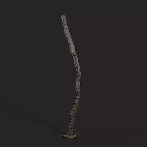 Grapevine Tree 001 3D model