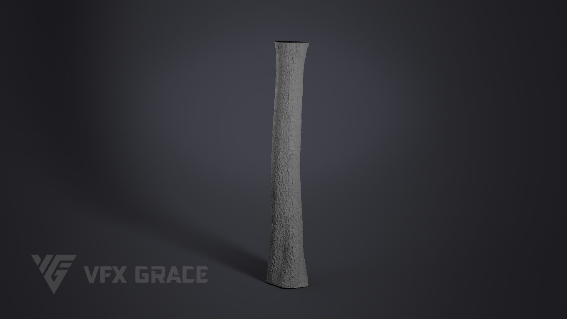 Ginkgo Tree 3D model_5