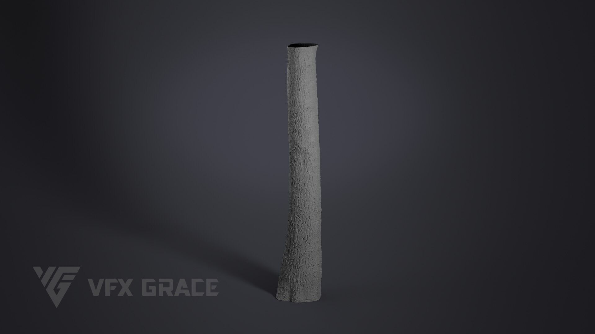 Ginkgo Tree 3D model_7