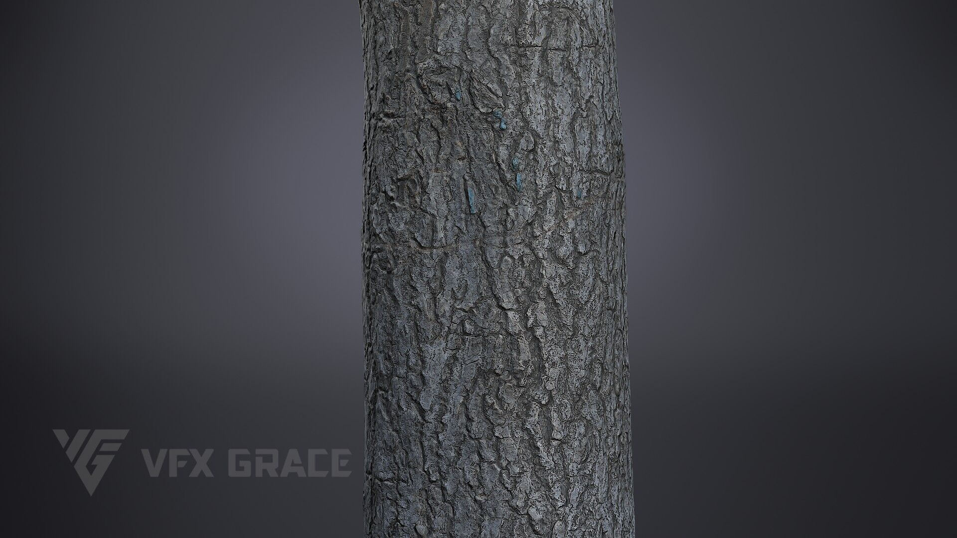 Ginkgo Tree 3D model_3