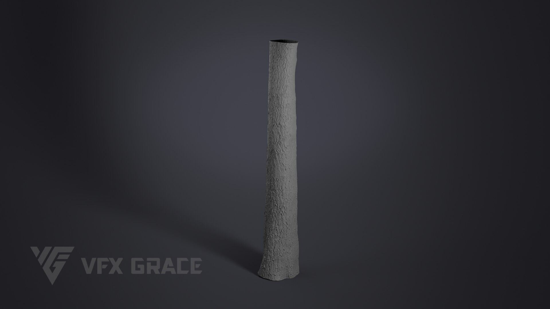 Ginkgo Tree 3D model_6