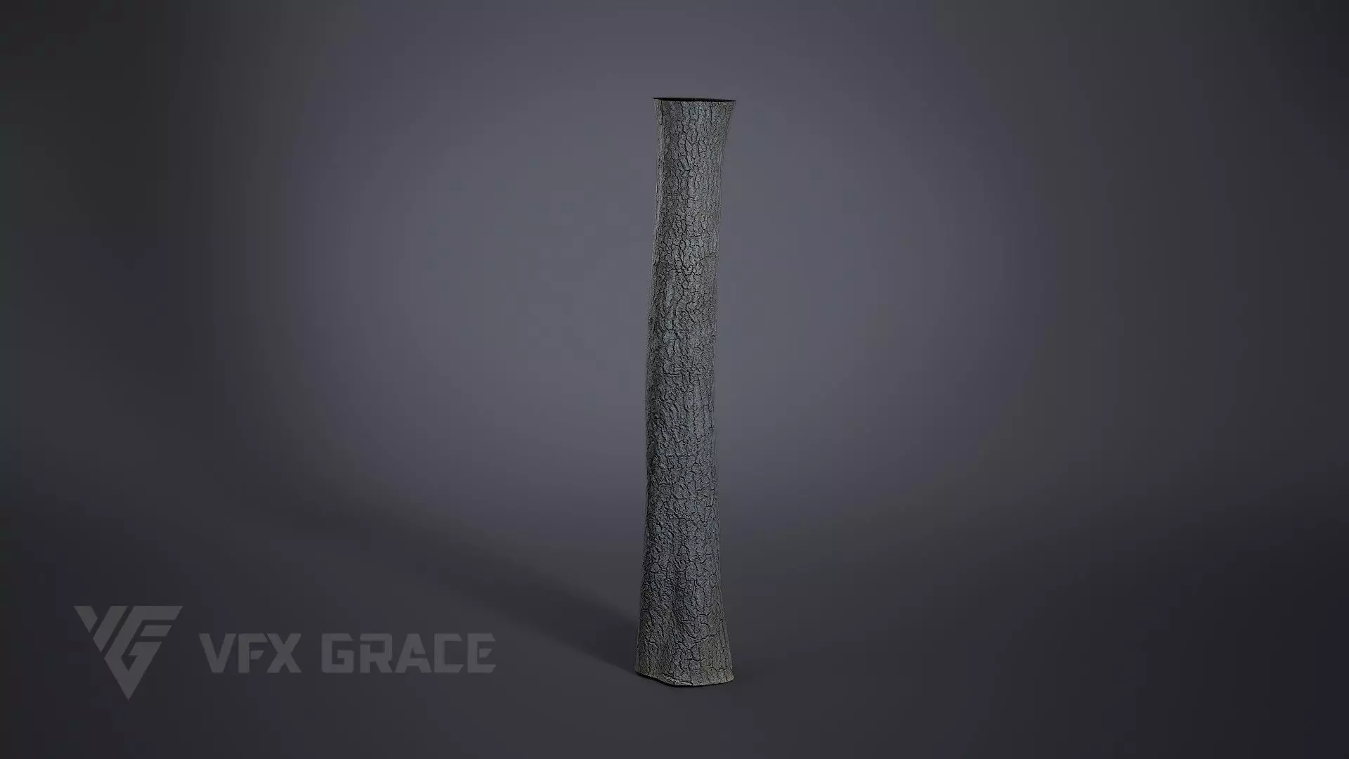 Ginkgo Tree 3D model_0