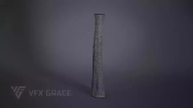 Ginkgo Tree 3D model