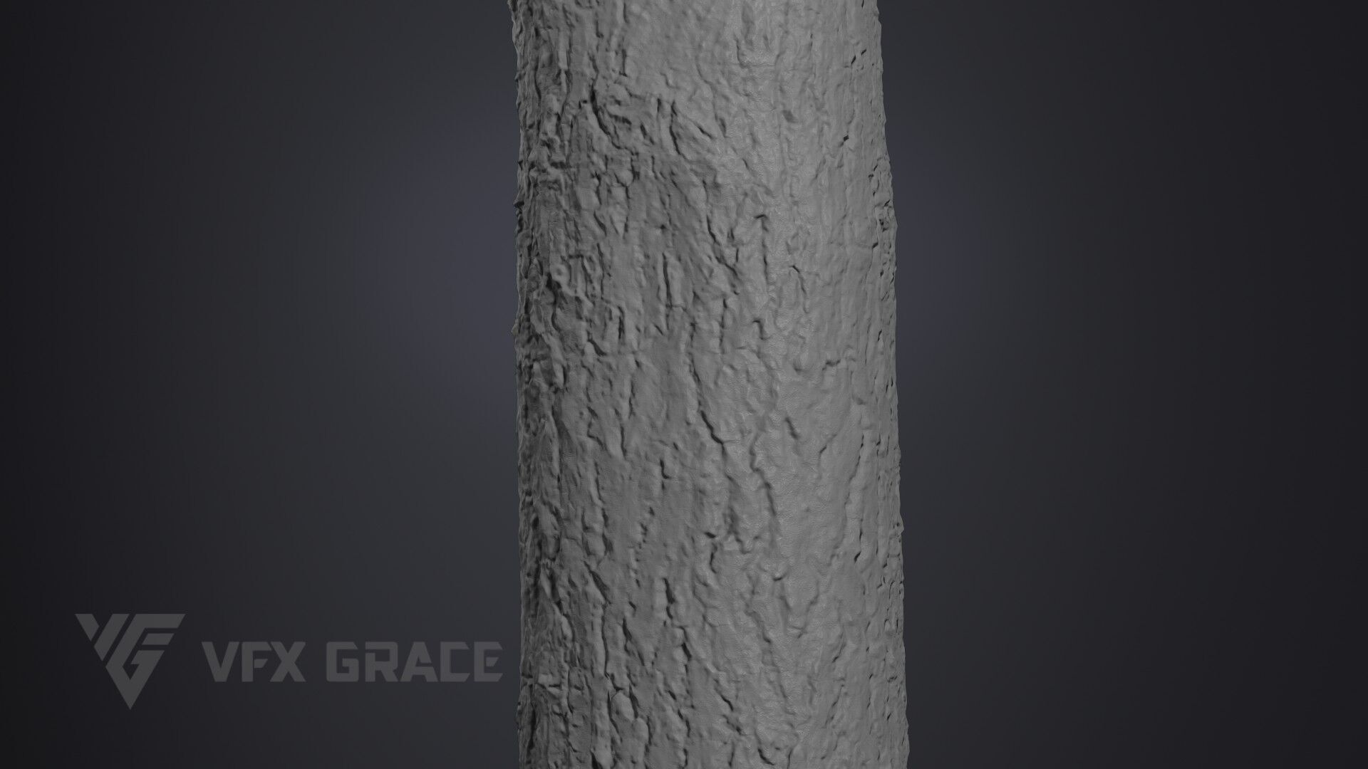 Ginkgo Tree 3D model_8