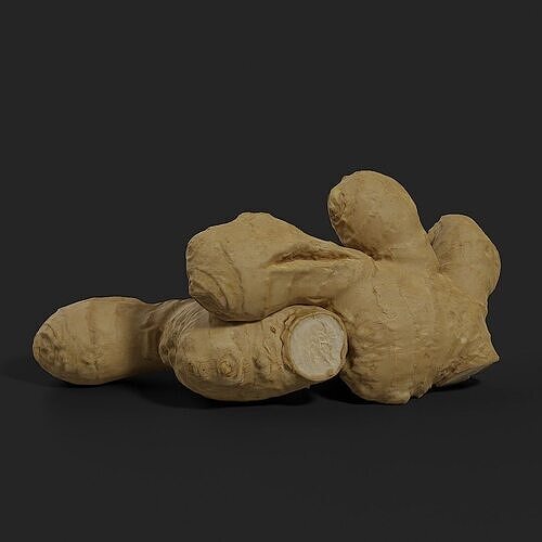 Ginger 001 3D model