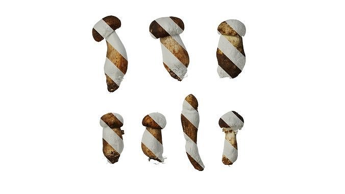 Anydrafts Boletus Atlas 01 Texture