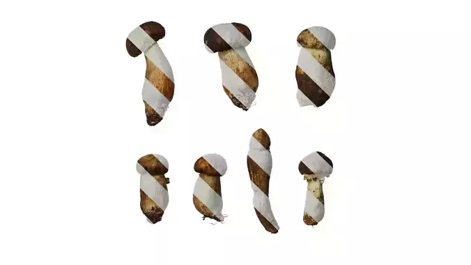 Anydrafts Boletus Atlas 01