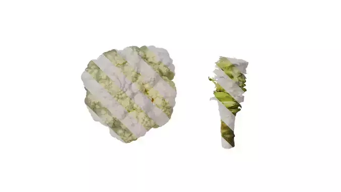 Anydrafts Brassica botrytis Flower 01