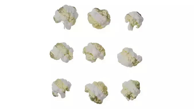 Anydrafts Brassica botrytis Flower 02