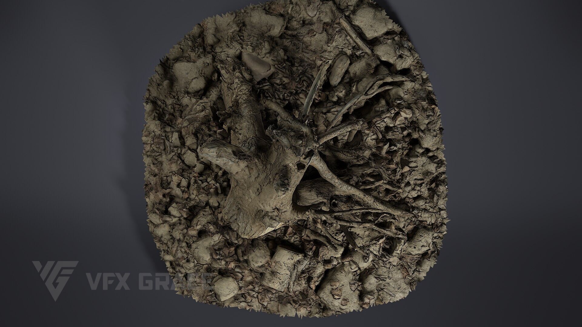 Dead Wood 004 3D model_4