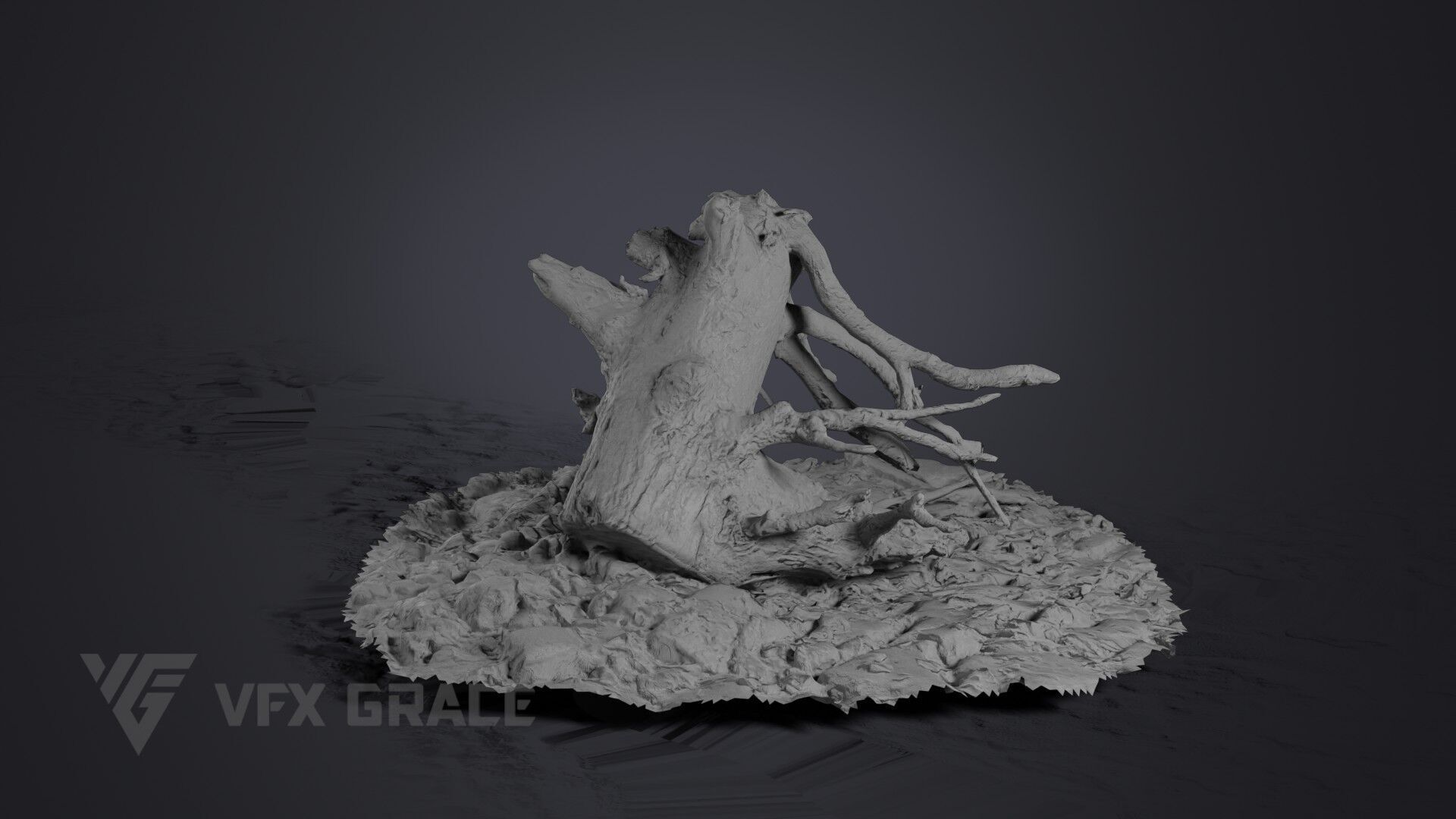 Dead Wood 004 3D model_7