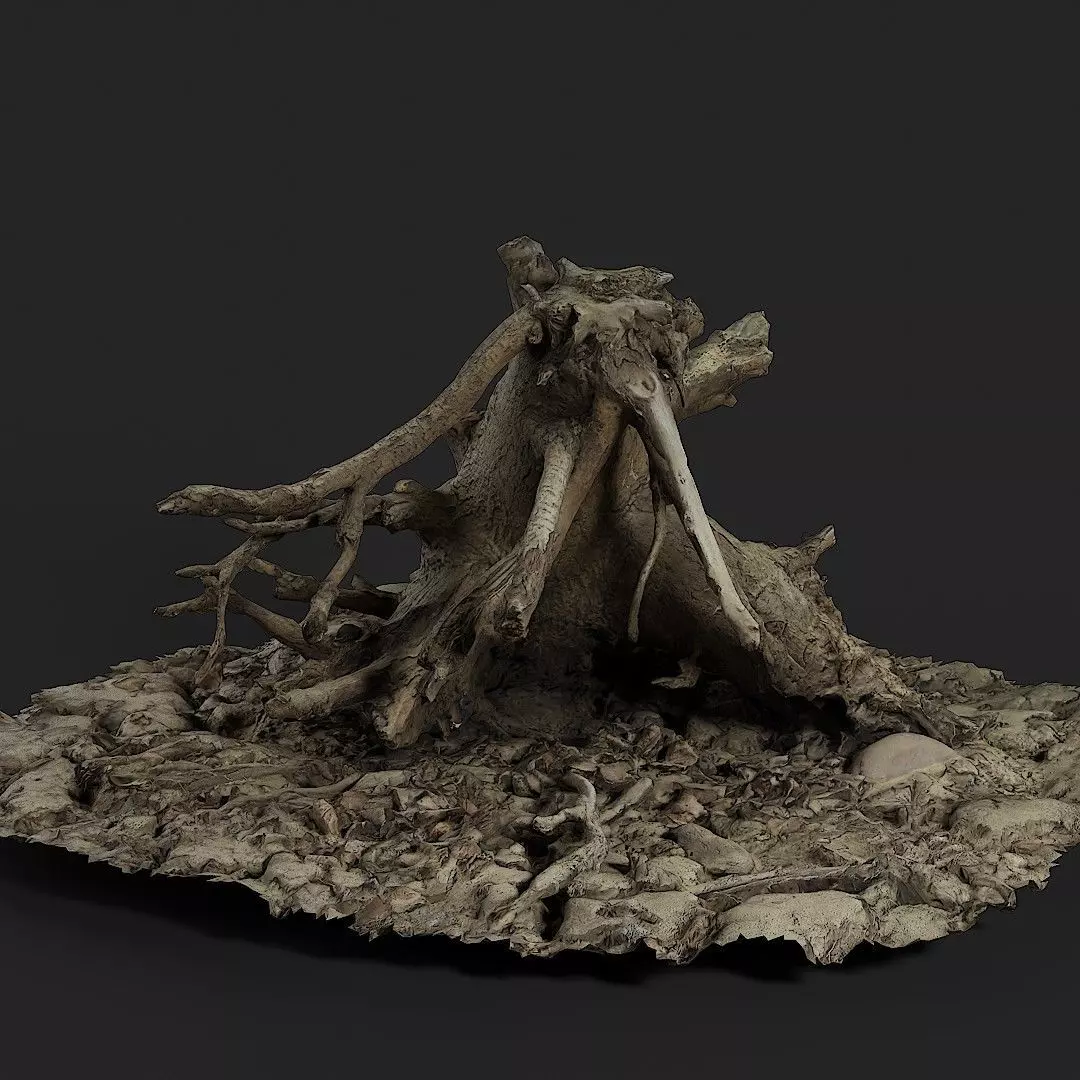 Dead Wood 004 3D model_0