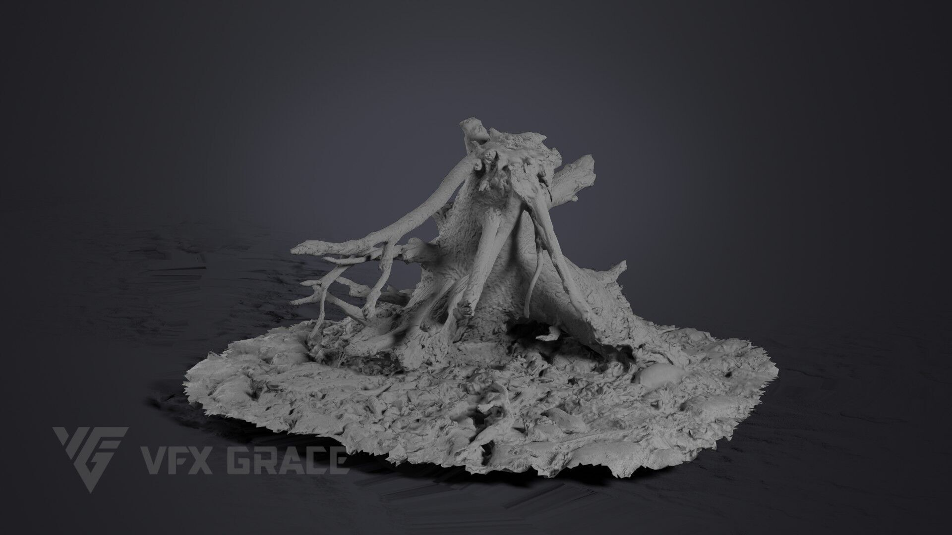 Dead Wood 004 3D model_5