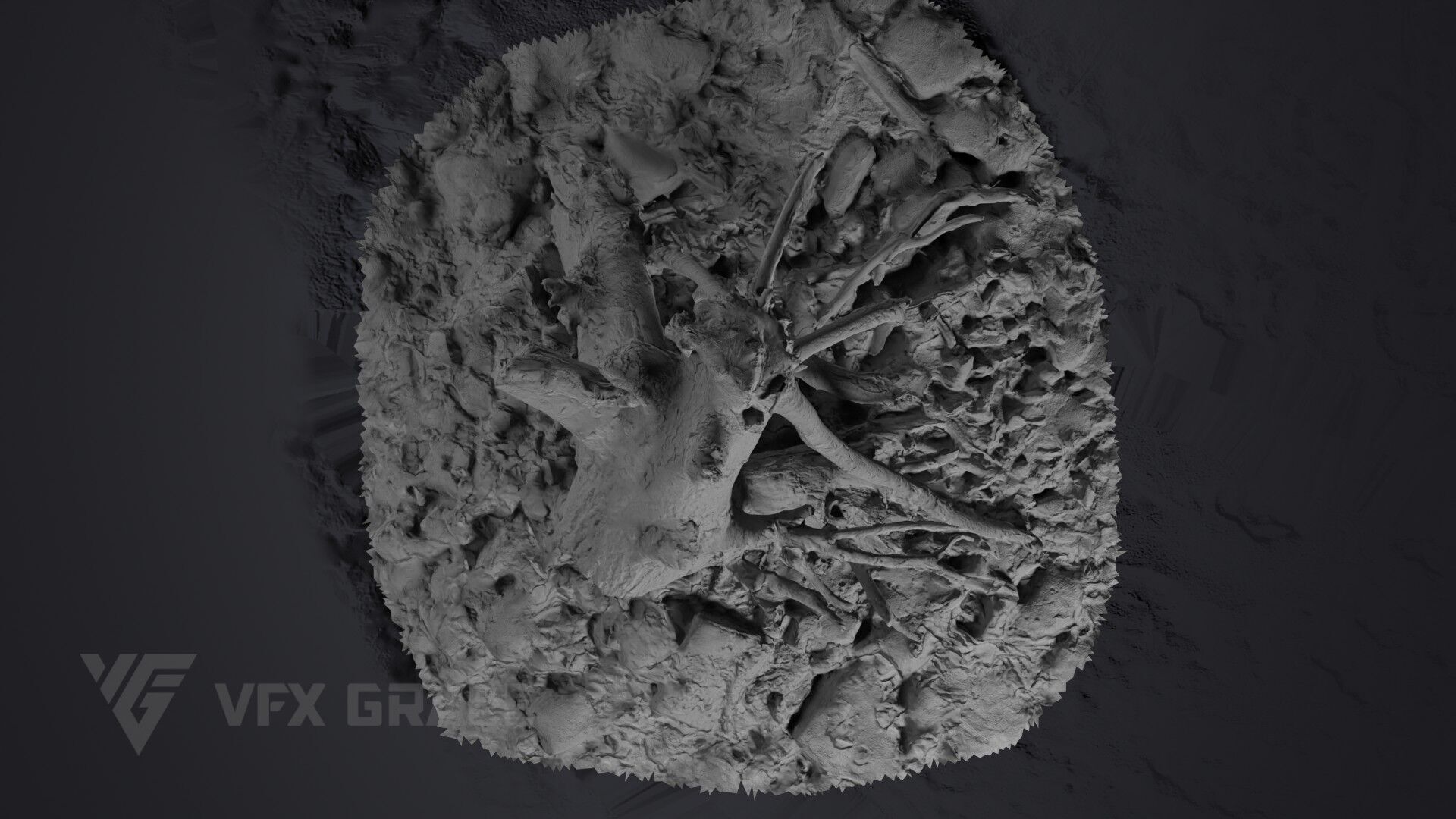 Dead Wood 004 3D model_8