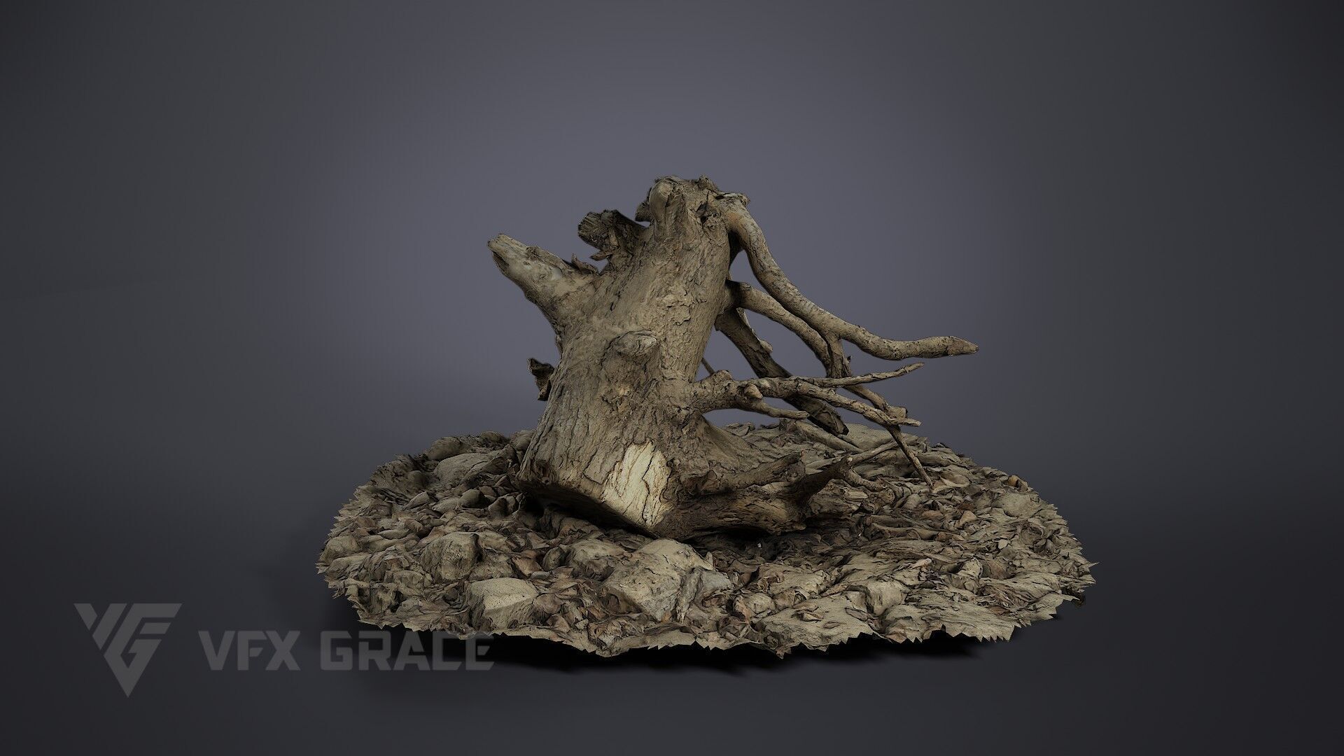 Dead Wood 004 3D model_3
