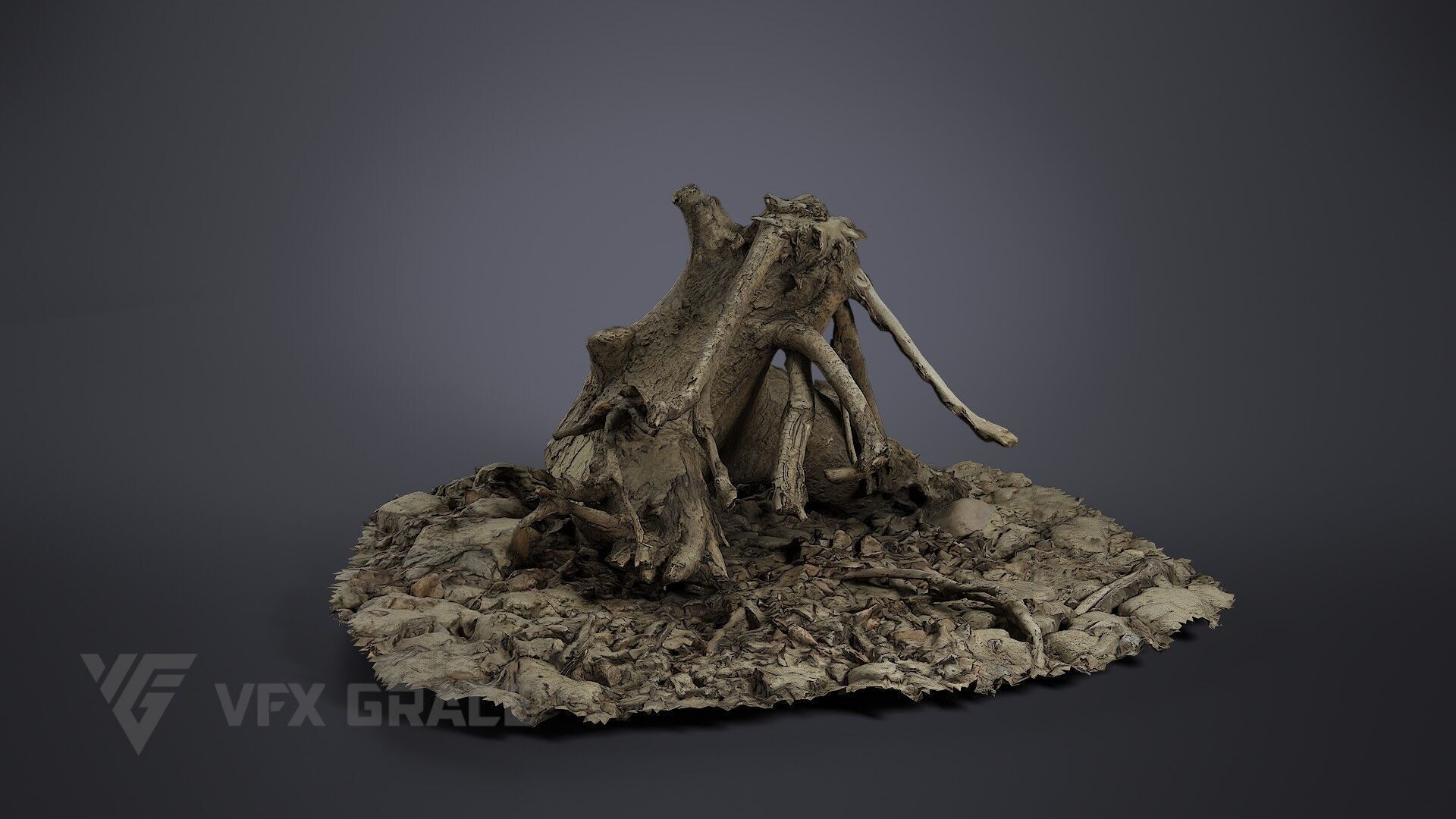 Dead Wood 004 3D model_2