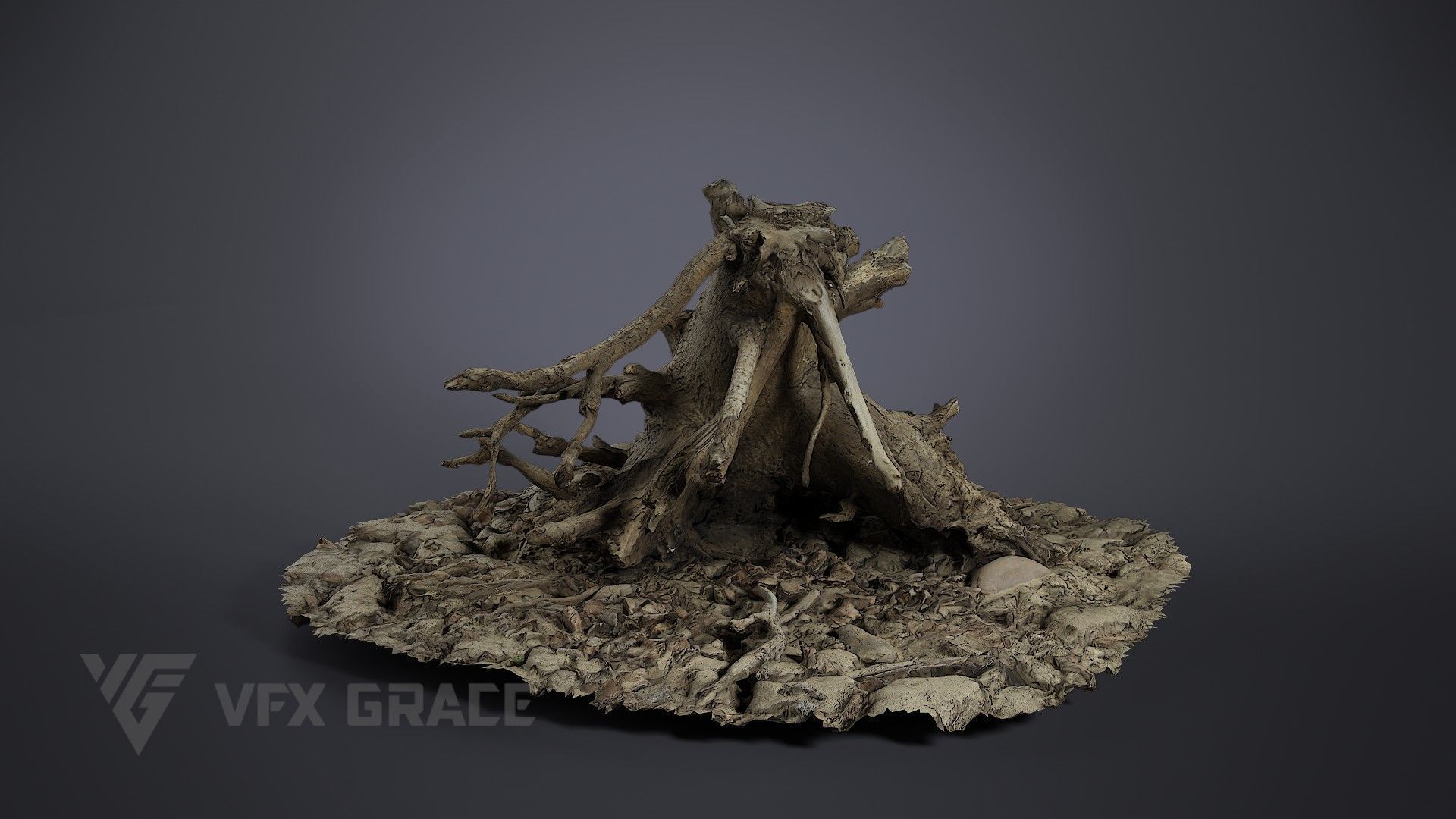 Dead Wood 004 3D model_1